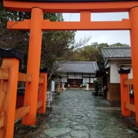外観5　この鳥居をくぐって、入場しました