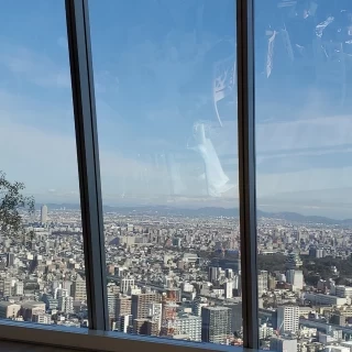 40階の景色