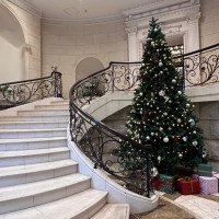 式場入り口の螺旋階段横にはクリスマスツリー！