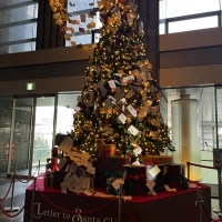 駅から来た際にホテルのビルに入ると見えるクリスマスツリー