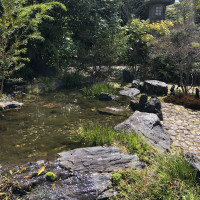 日本庭園に迷い込んだような錯覚に陥ります