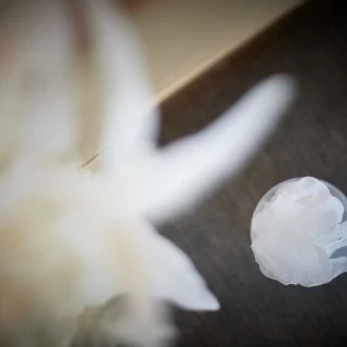 フラワーシャワーの準備をカメラマンさんが撮ってくれました。
