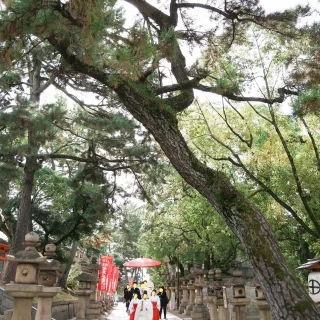 花嫁行列