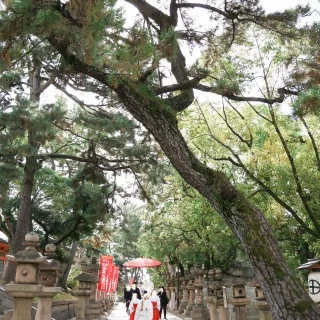 花嫁行列