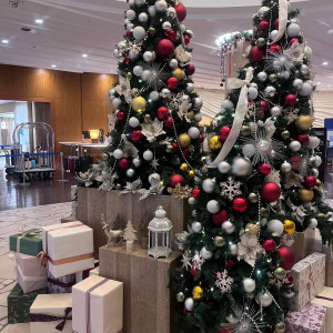 クリスマスの時期は大きなクリスマスツリーが飾られます|688334さんのヒルトン福岡シーホークの写真(2012883)
