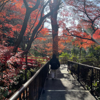 1月ですが紅葉が残っていました。