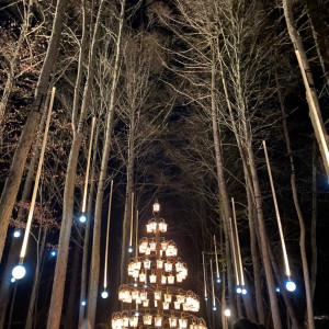 クリスマスのイルミネーション|688816さんの星野リゾート 軽井沢ホテルブレストンコートの写真(2017445)