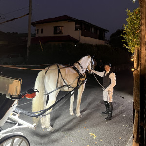 馬車演出|688898さんのザ・グリーンカーメル（The Green Carmel）の写真(2320204)