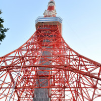 エントランスからの景色