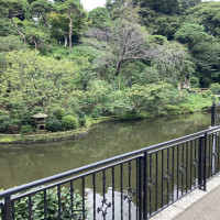 池もあります。これもまた雰囲気が良いです。