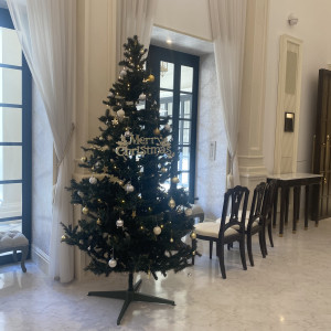 クリスマスシーズンにはツリーが飾られるようです|689020さんのアクアテラス迎賓館  大津の写真(2019774)