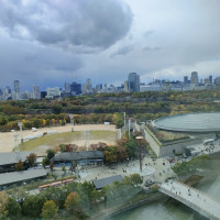 大阪城が見えます