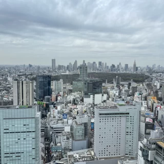 披露宴会場からの景色（日中）