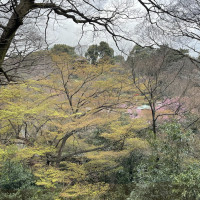 雲海