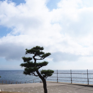 披露宴会場からの景色|689268さんのHOTEL SETRE（ホテルセトレ）の写真(2021335)