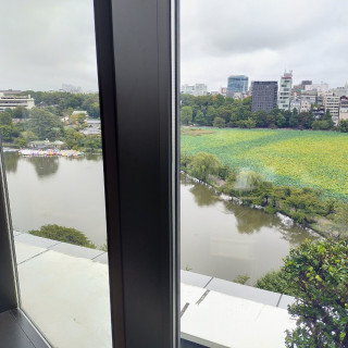 会場から上野公園が一望できます。この日は曇っていましたが…