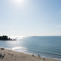 屋上から見える海と森戸神社