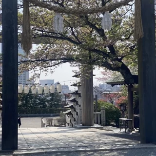 鳥居側です、こちらよ本殿に入ります