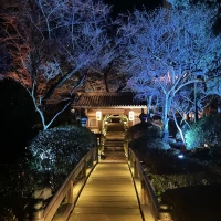 日本庭園