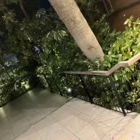 ここでフラワーシャワー