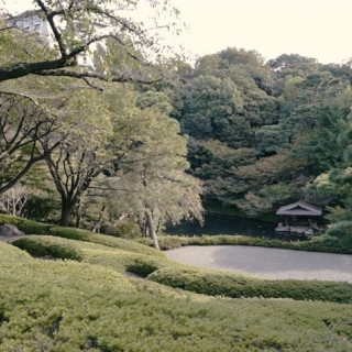 キレイな和風のお庭