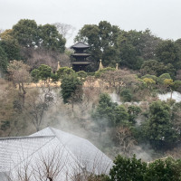 1時間に2回、雲海が見られます