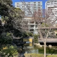 お庭から見た会場