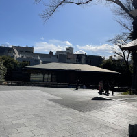 東郷神社の道