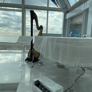 グランドピアノ