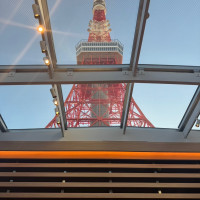東京タワーは公式写真のとおり見えます