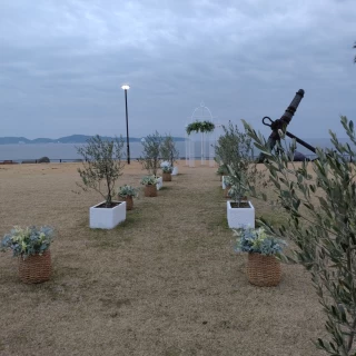 屋外の挙式会場　この日は生憎の天候だが、晴れてれば海が綺麗