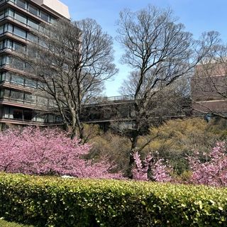 ホテル椿山荘東京のクチコミ 庭・ガーデンの写真(1枚目)