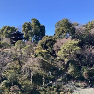 チャペルからは滝が見えます。