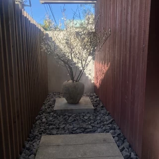 受付前の季節の植物です