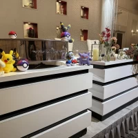 ポケモンたちは持ち込みです！(無料！)