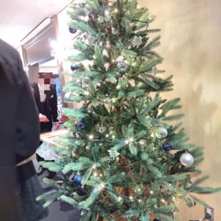 持ち込みのクリスマスツリー