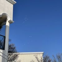体験で風船飛ばさせてくれた