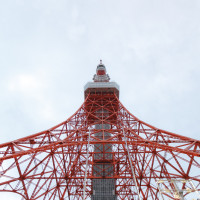 東京タワーも撮影してくださいました。