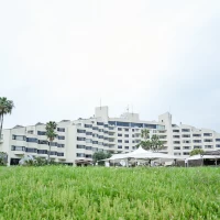 シロツメクサが咲いていて春らしさが感じられました