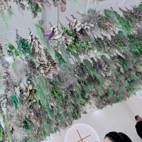 チャペルの天井