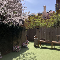 桜が咲いていて綺麗でした