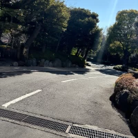 庭園