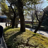 庭園