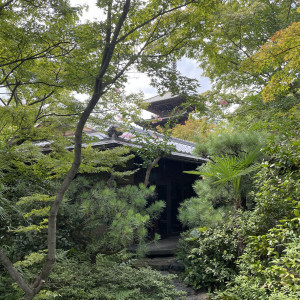 庭越しに八坂の塔が見えます。|691402さんのTHE SODOH HIGASHIYAMA KYOTO（ザ ソウドウ 東山 京都）の写真(2040010)