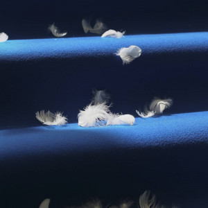 ウェディングキスのときに羽が落ちてきます。|691530さんのララシャンスOKAZAKI迎賓館の写真(2040972)