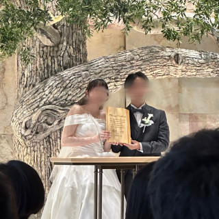結婚証明書は木のものを持ち込みました