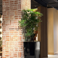 ロビーに綺麗なお手洗いとクローク、ロッカーがありました