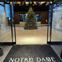 歩道橋を渡り、入り口には大きなツリーが立っていました