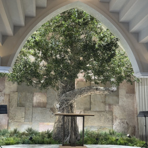 シンボルツリーのオリーブの樹が魅力的でした|691553さんのザ コンチネンタル横浜の写真(2572494)