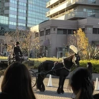 馬車に乗る演出は圧巻です